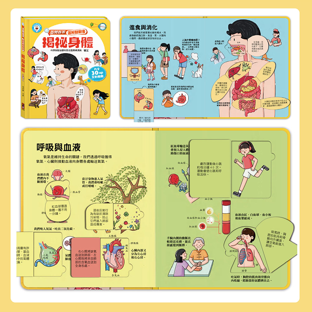 百問百答圖解翻翻書 百問百答圖解翻翻書